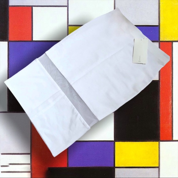 NWT Zara mesh insert pencil skirt - Picture 2 of 3